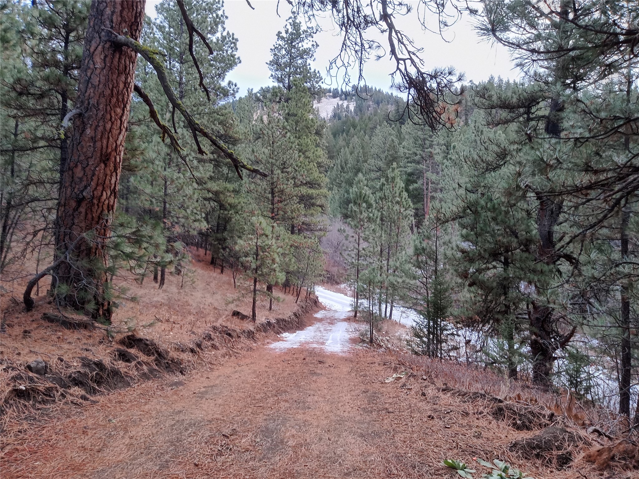 285 Upper Sawmill Creek Road