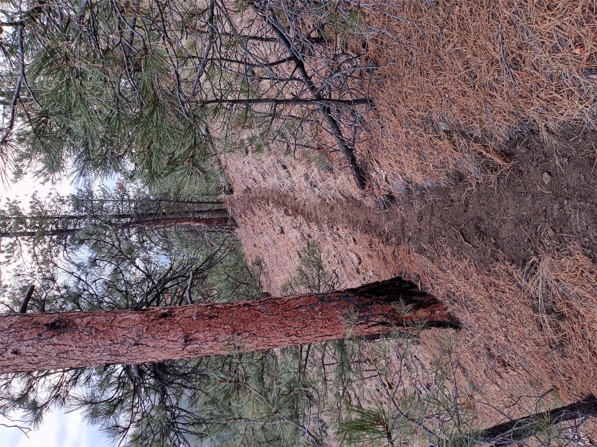 285 Upper Sawmill Creek Road