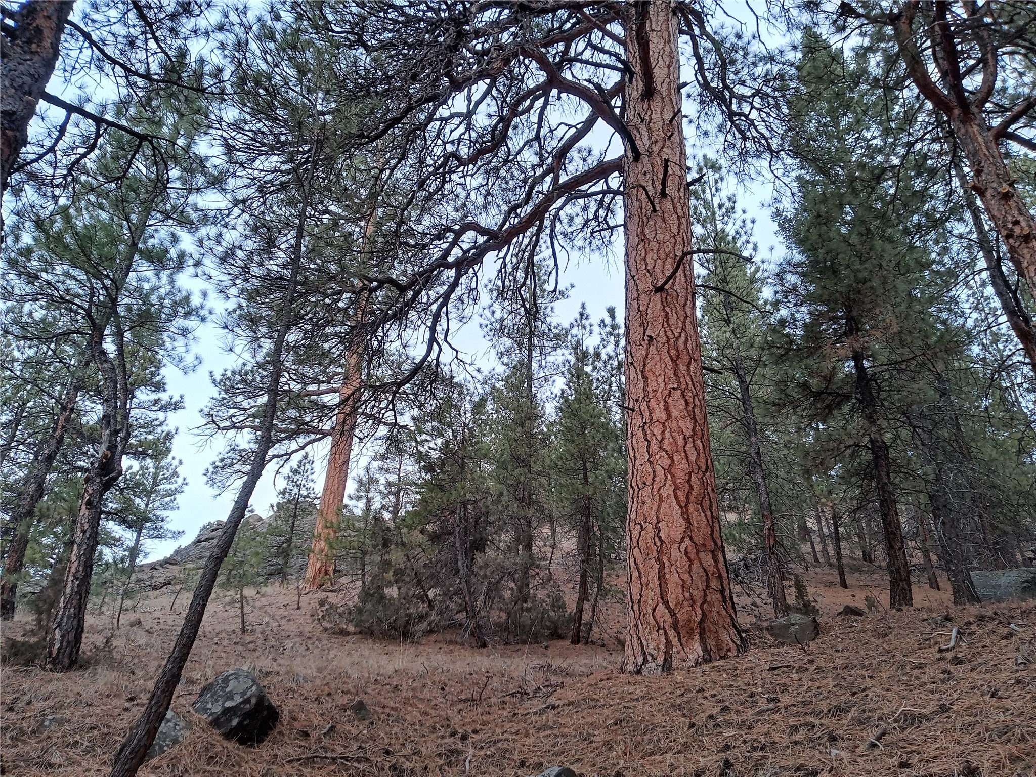 285 Upper Sawmill Creek Road