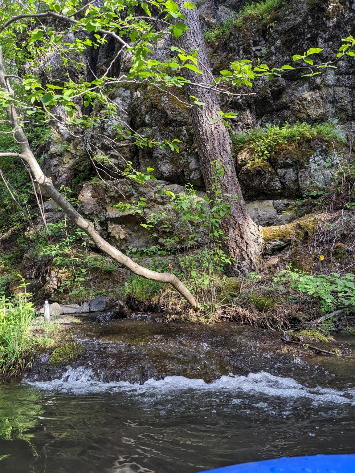 285 Upper Sawmill Creek Road