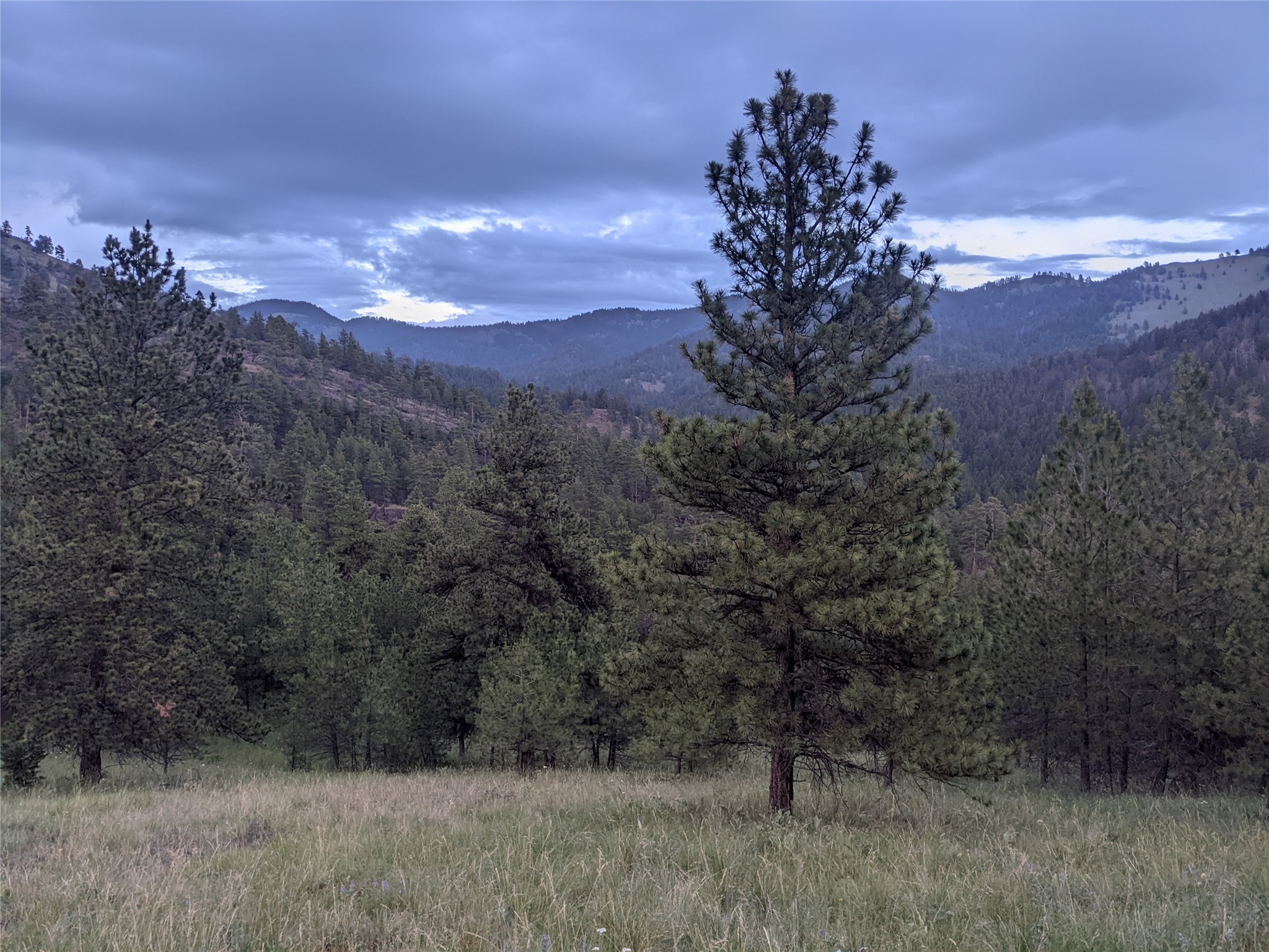 285 Upper Sawmill Creek Road