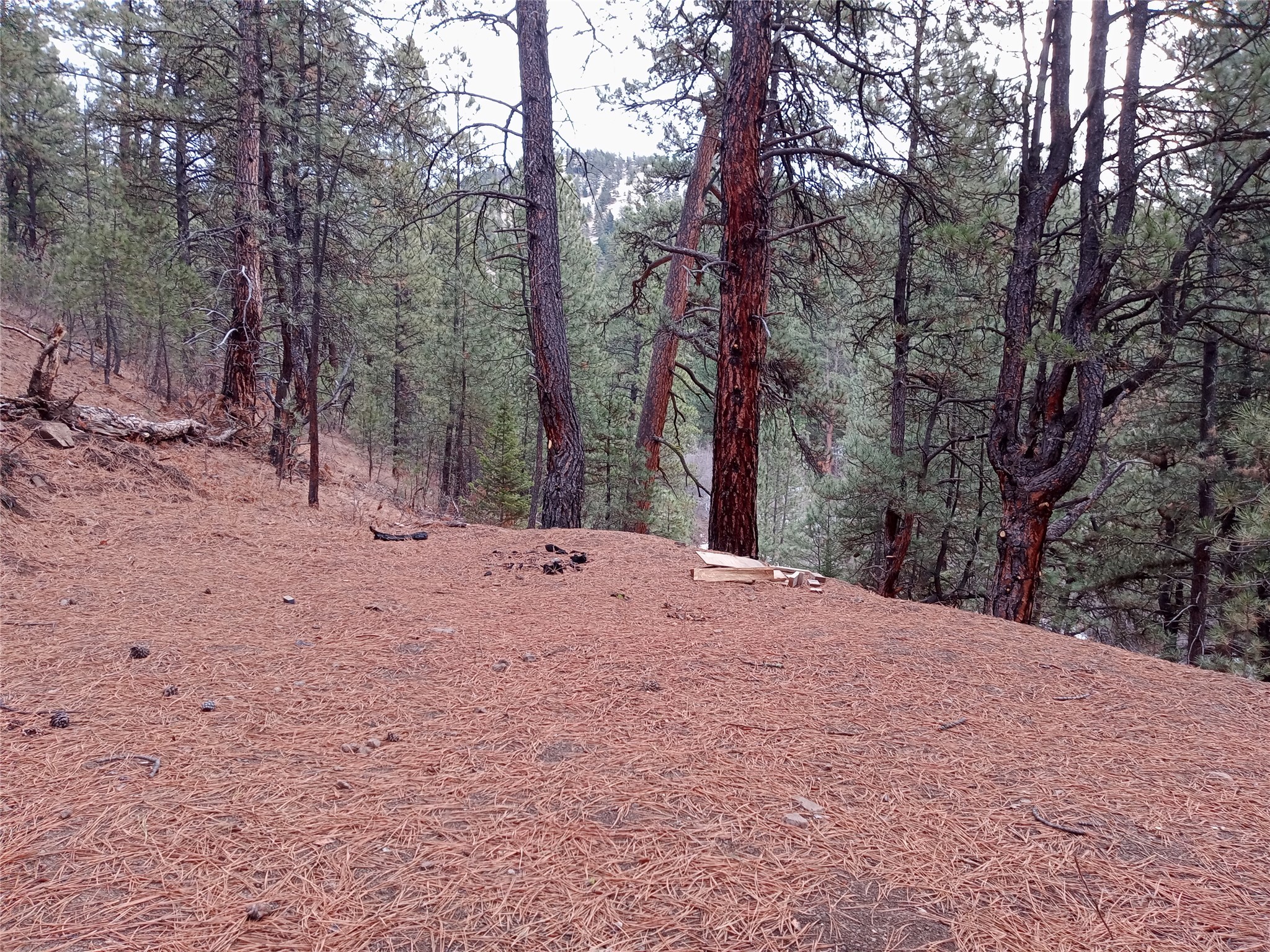 285 Upper Sawmill Creek Road