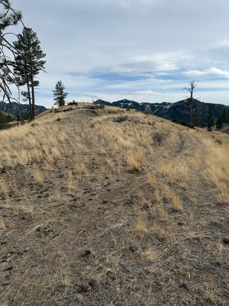 NHN Big Pine Lane