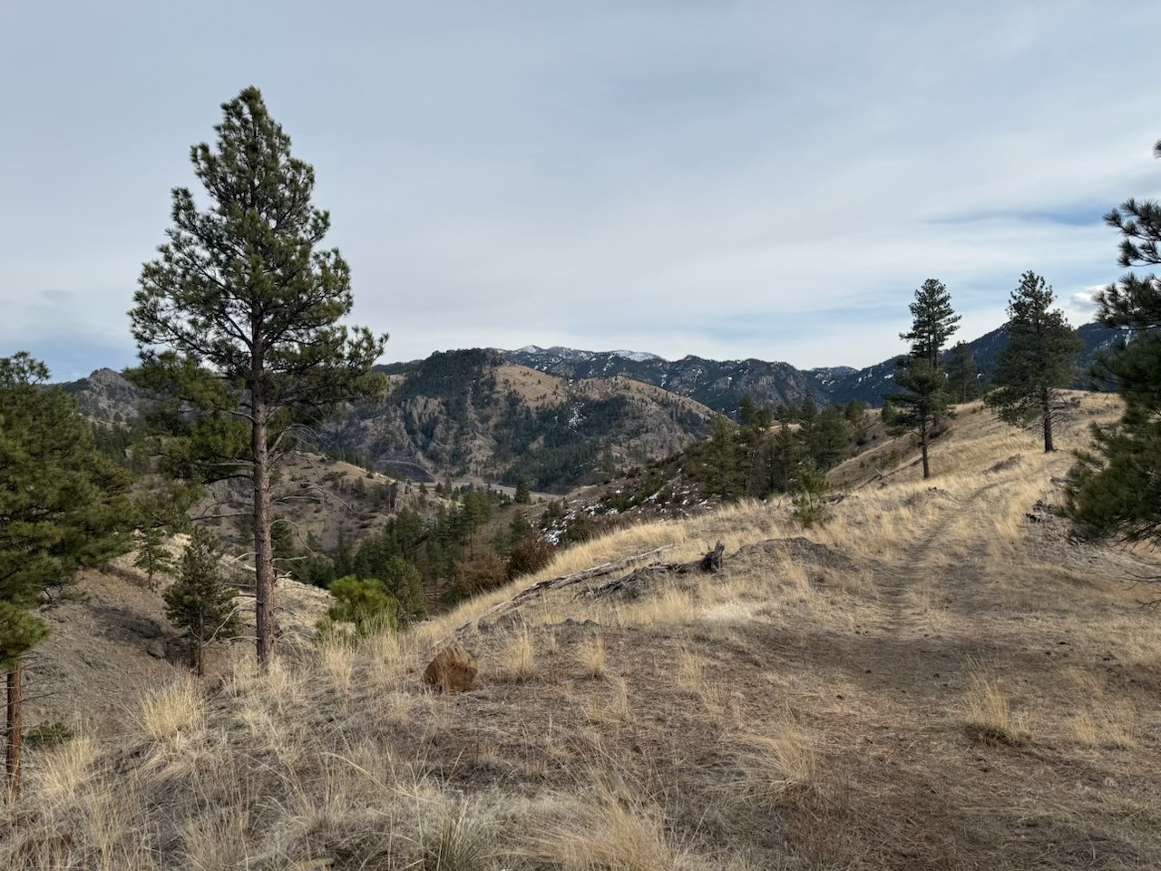 NHN Big Pine Lane
