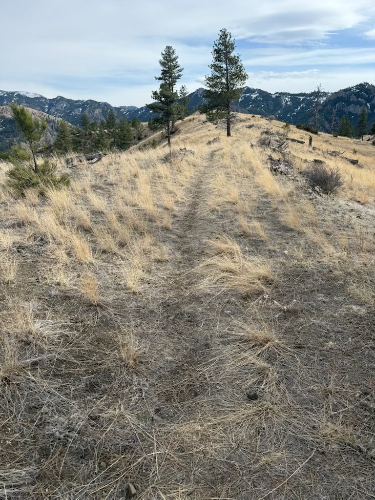 NHN Big Pine Lane
