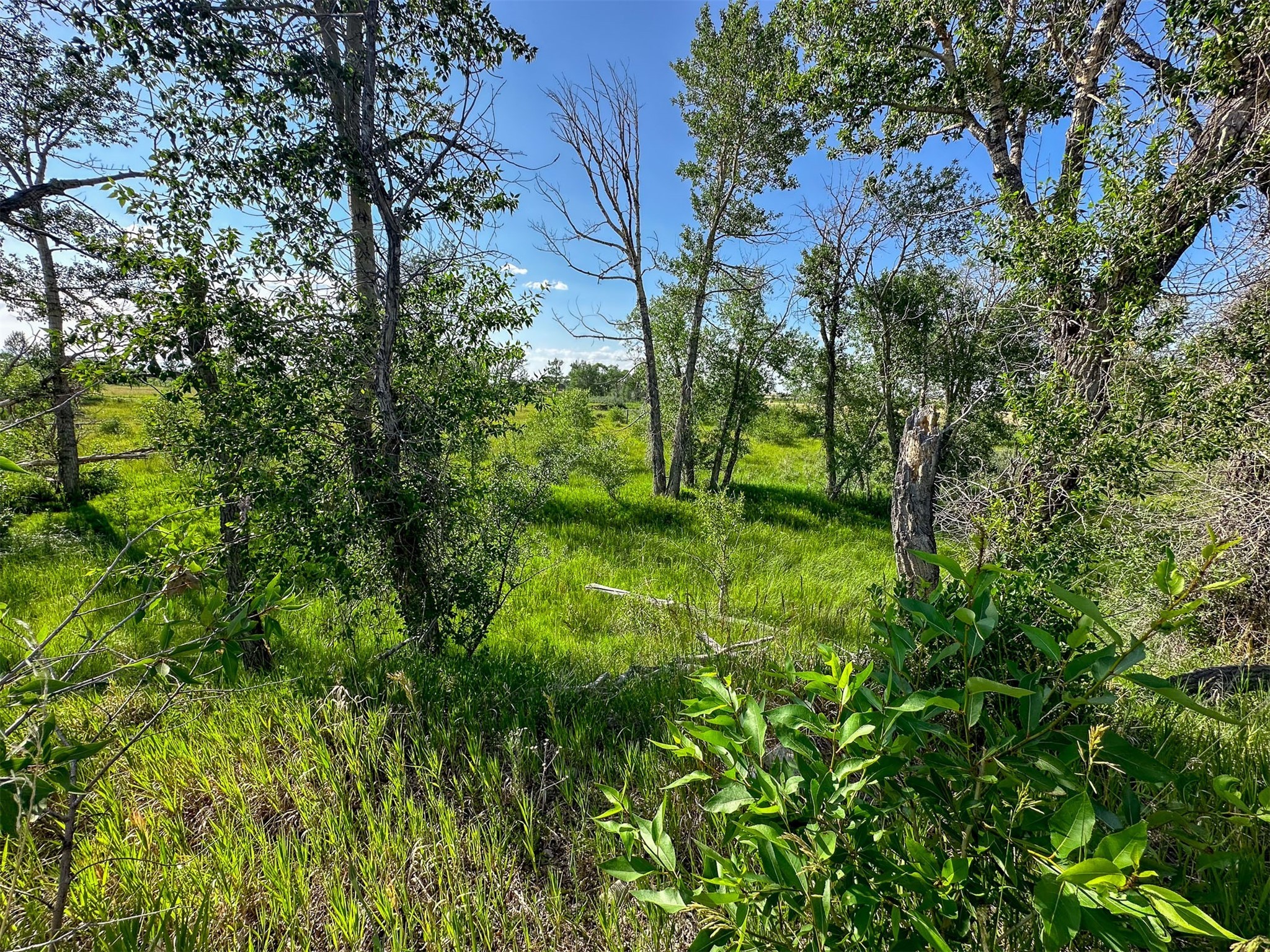 308 Creek Road