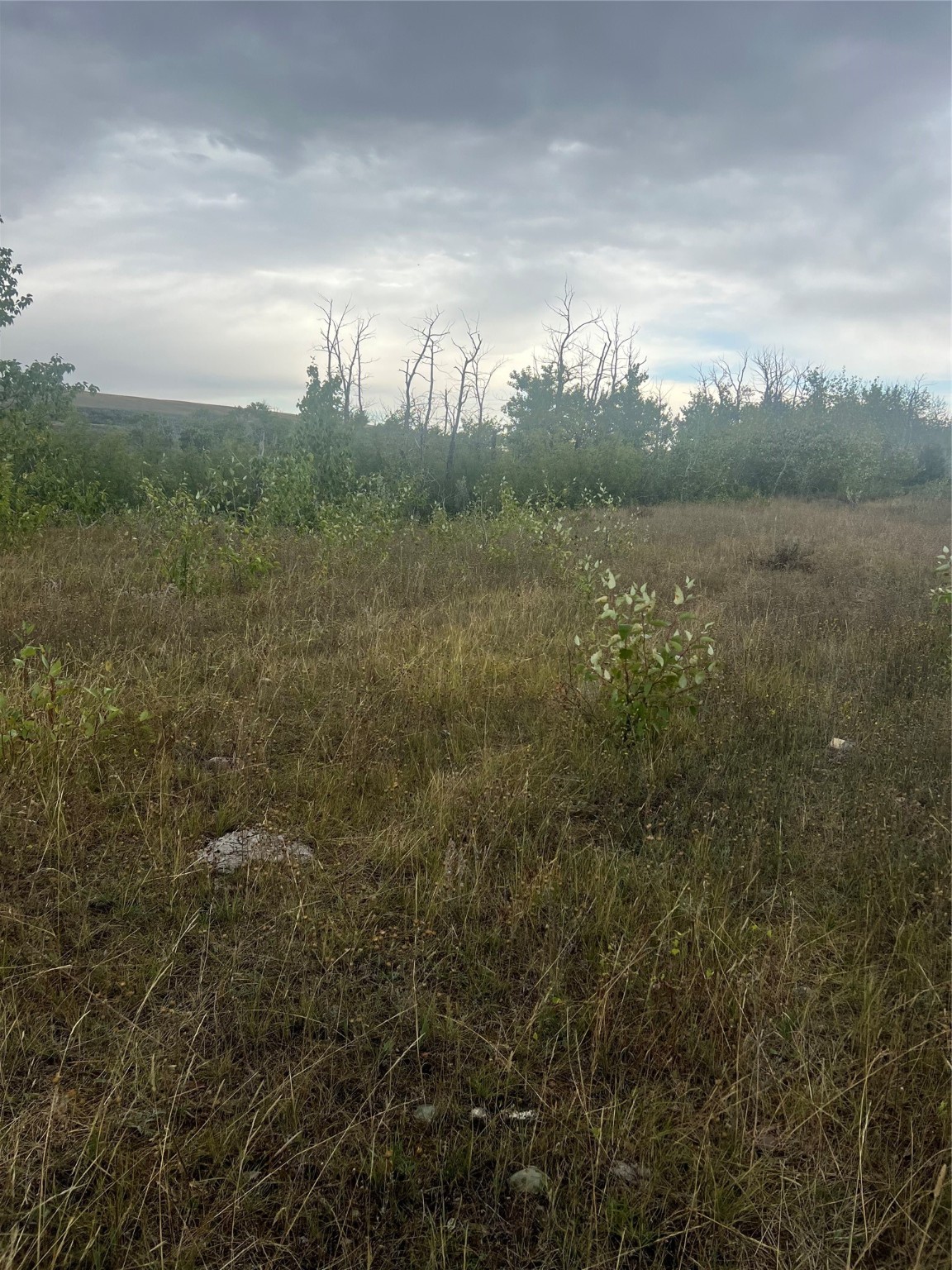 NHN Paisley Road Tract 4