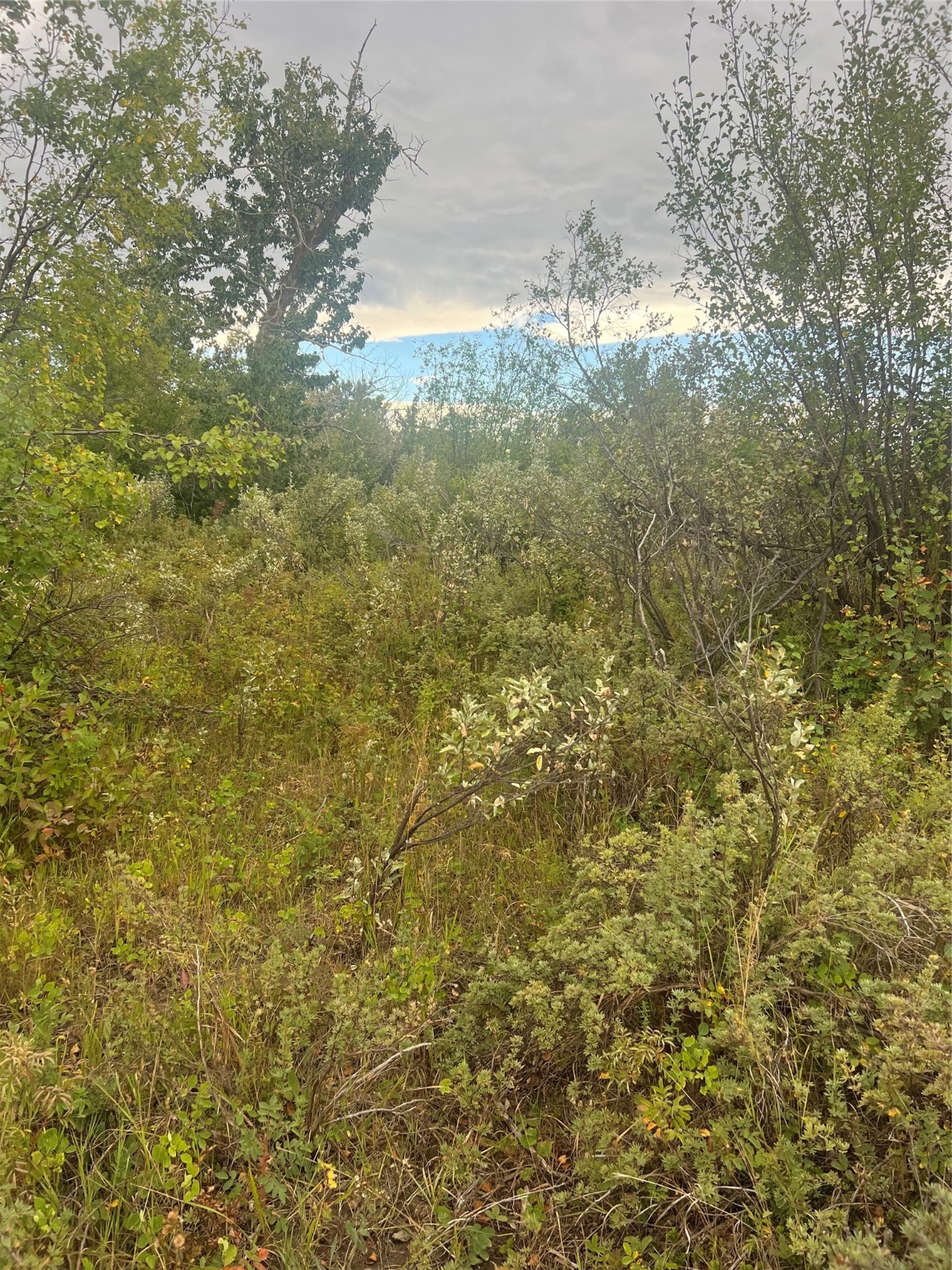 NHN Paisley Road Tract 4