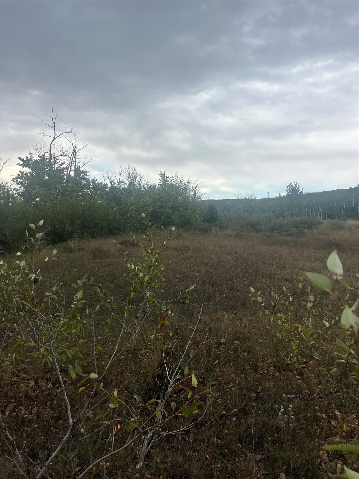 NHN Paisley Road Tract 4