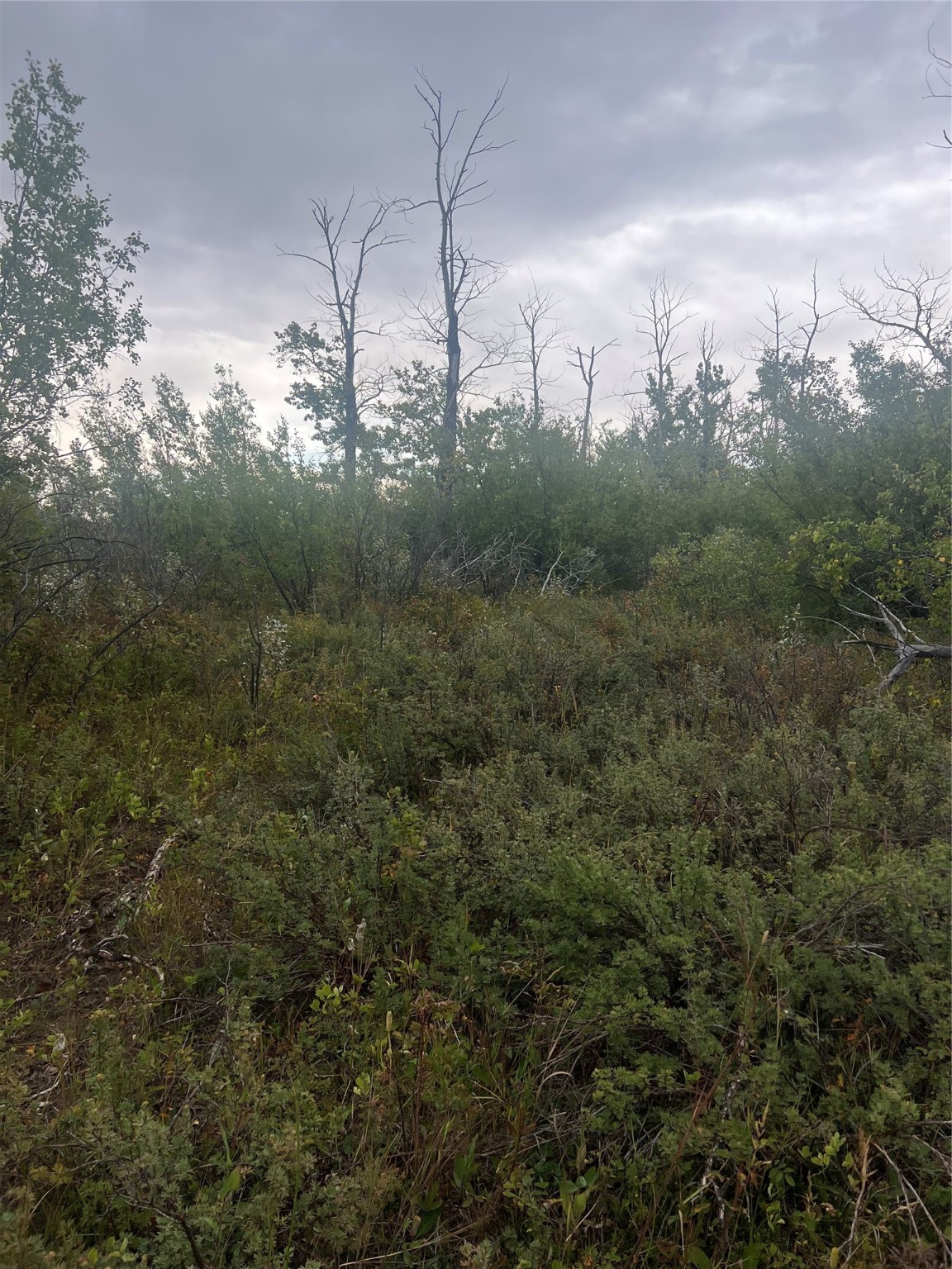 NHN Paisley Road Tract 4