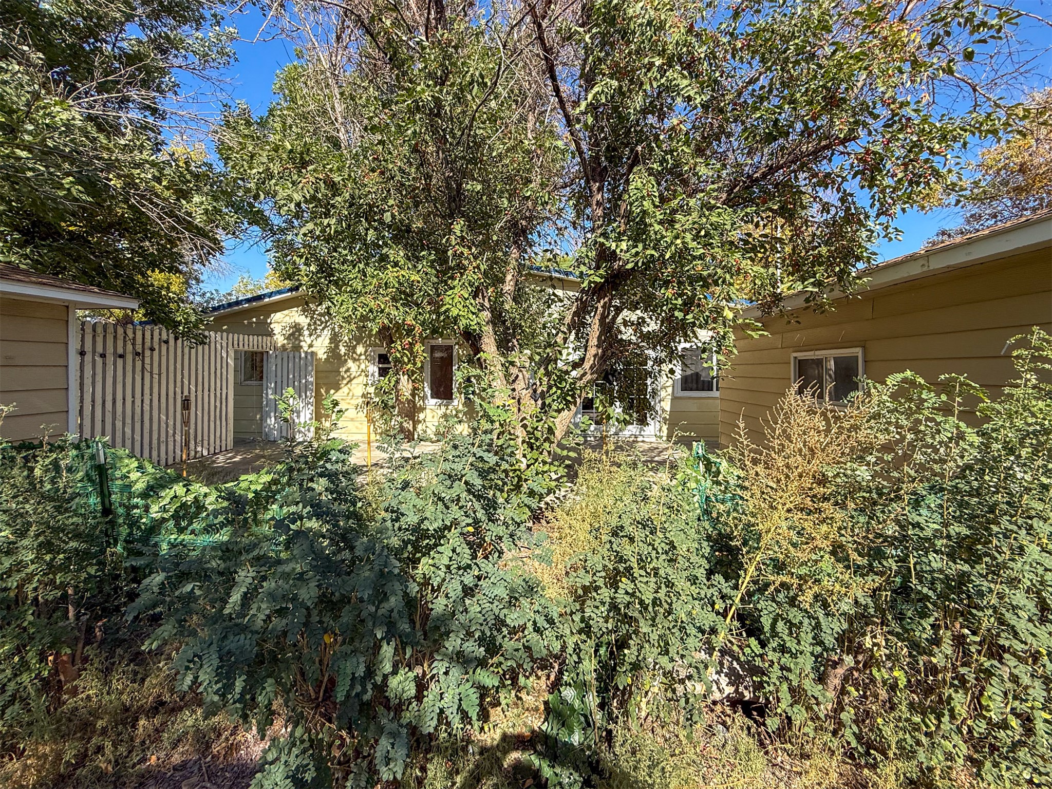 124 Rosebud Street