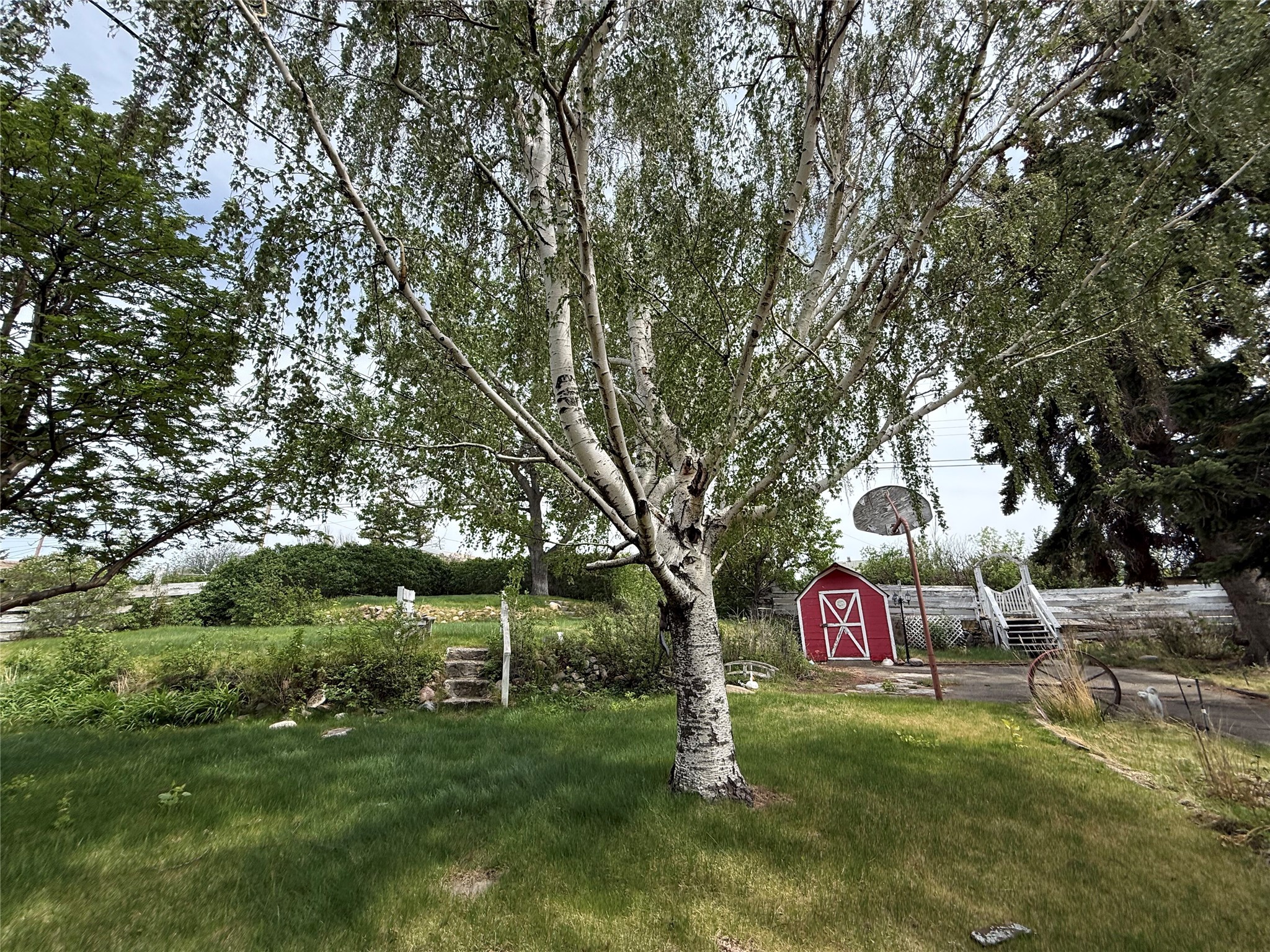233 4th Avenue SW