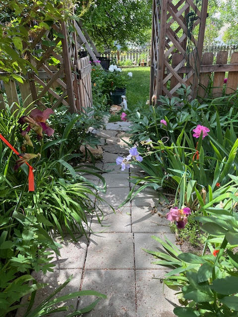 611 Park Garden Road