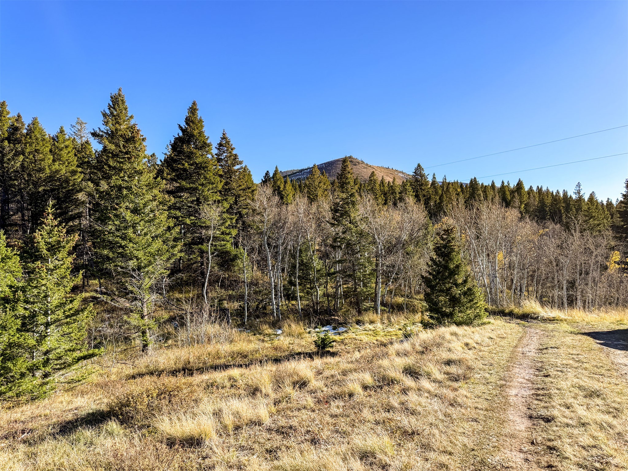 3528 Table Mountain Road