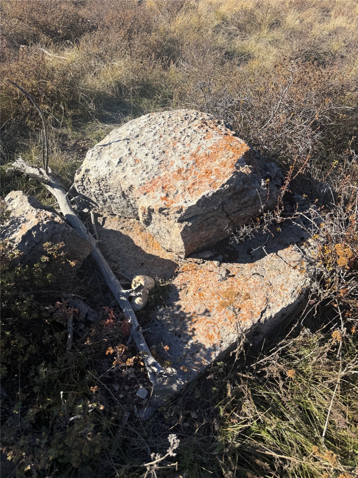 3528 Table Mountain Road