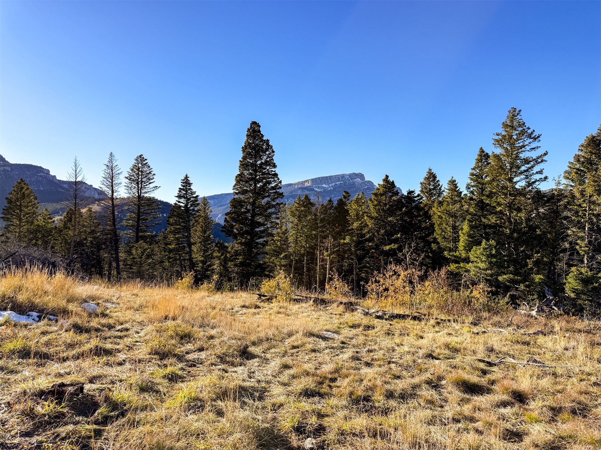 3528 Table Mountain Road