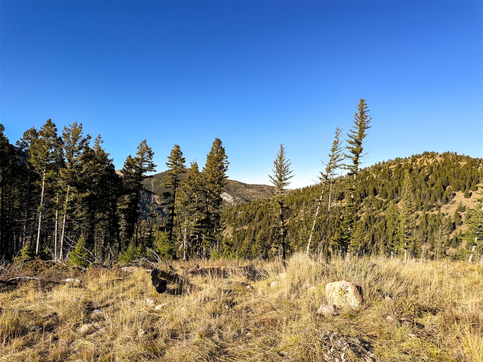 3528 Table Mountain Road