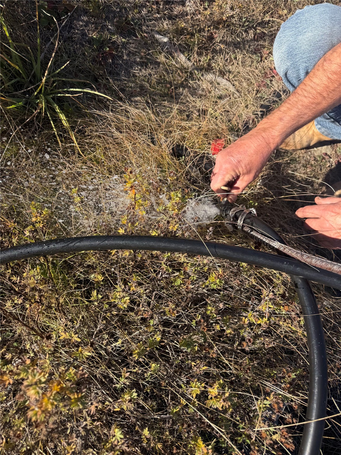 3528 Table Mountain Road