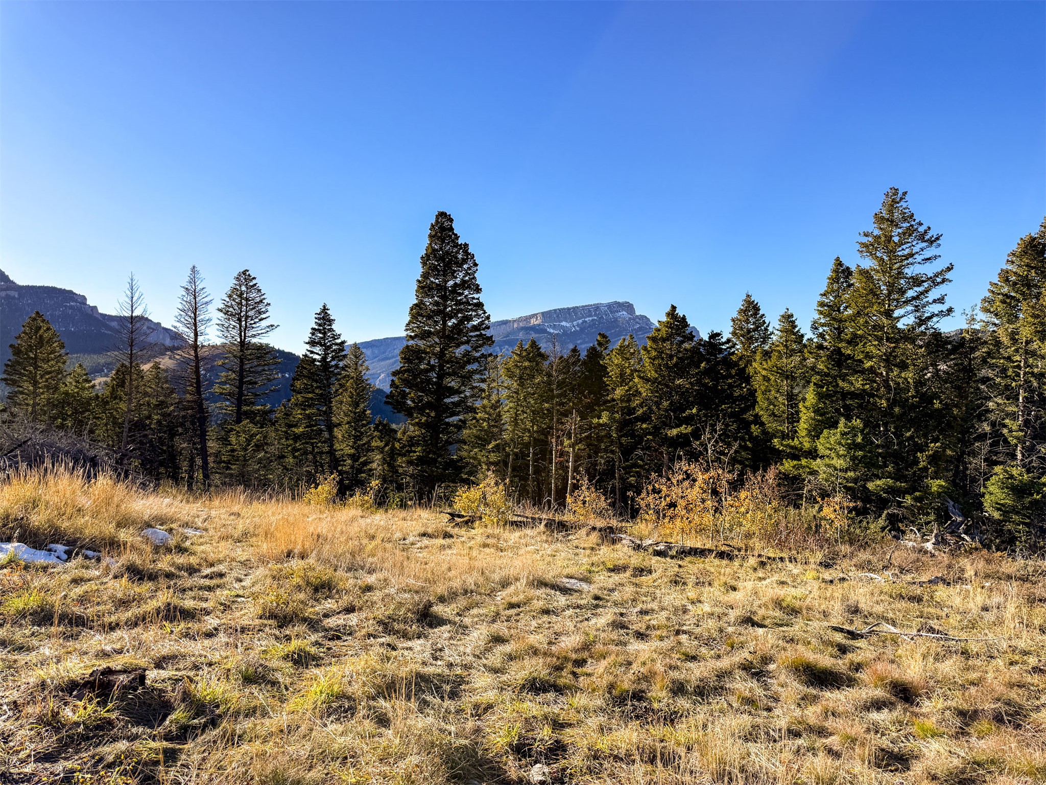 3528 Table Mountain Road