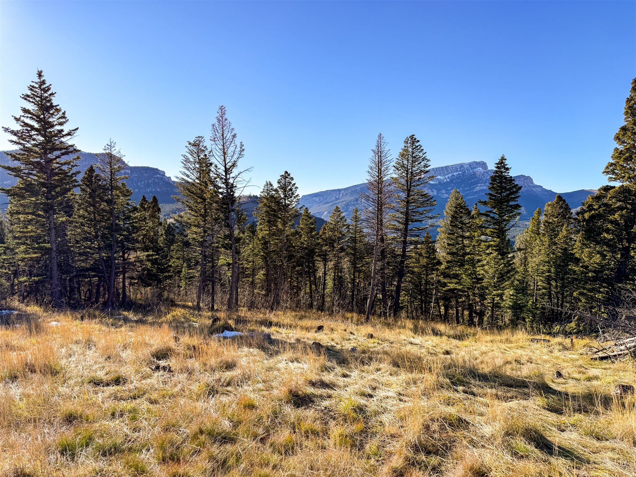 3528 Table Mountain Road