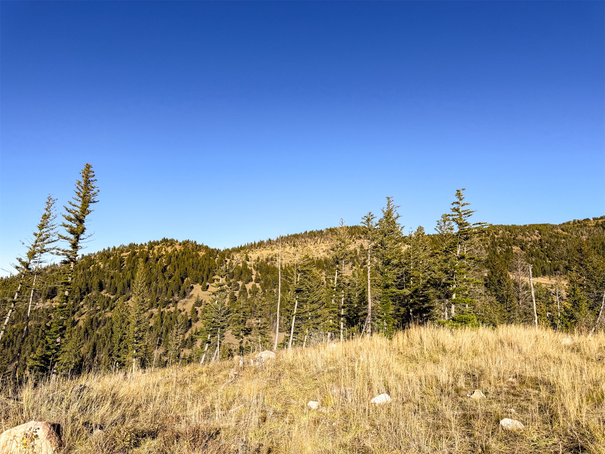 3528 Table Mountain Road