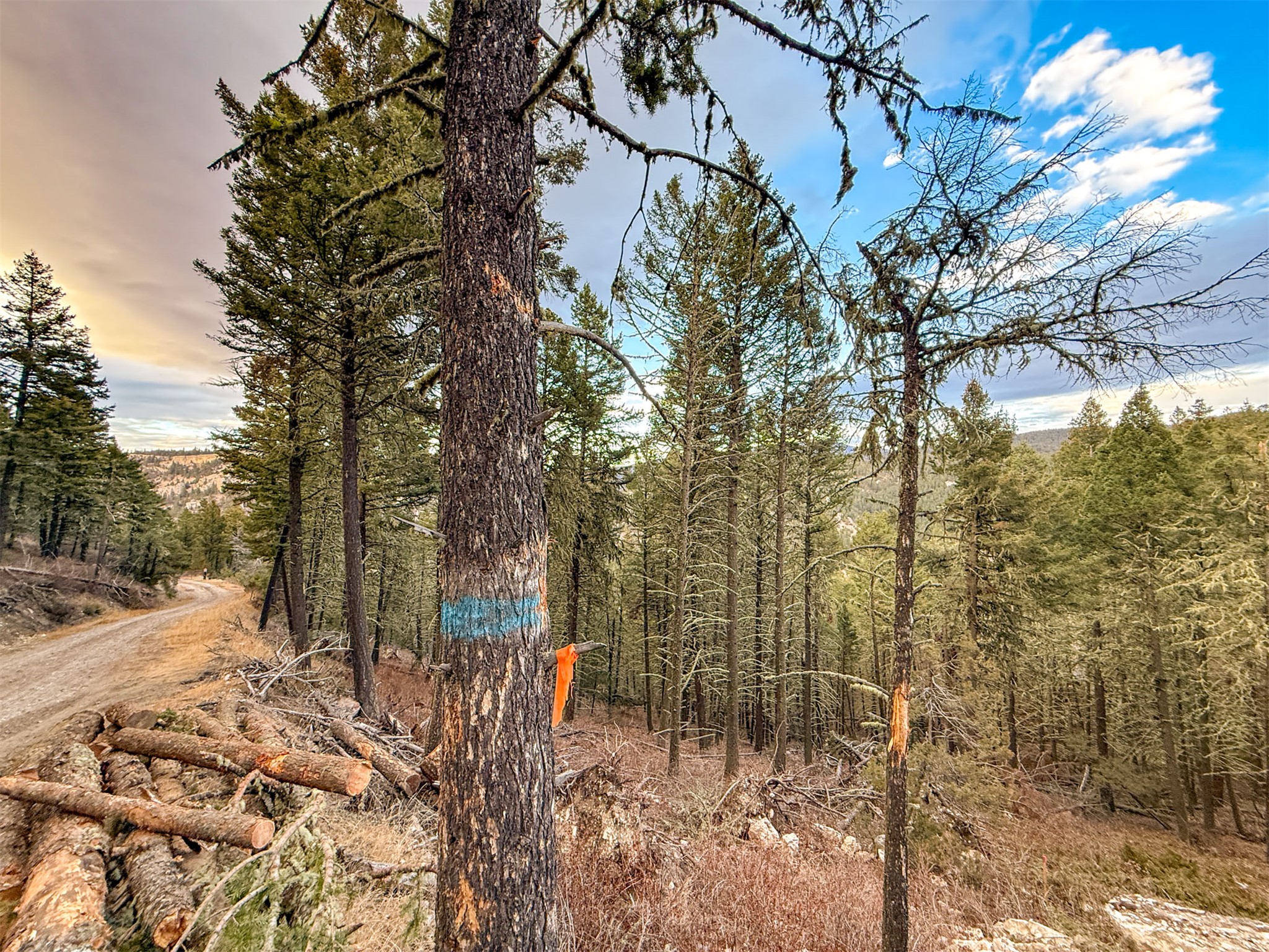 0 Two Creeks Road
