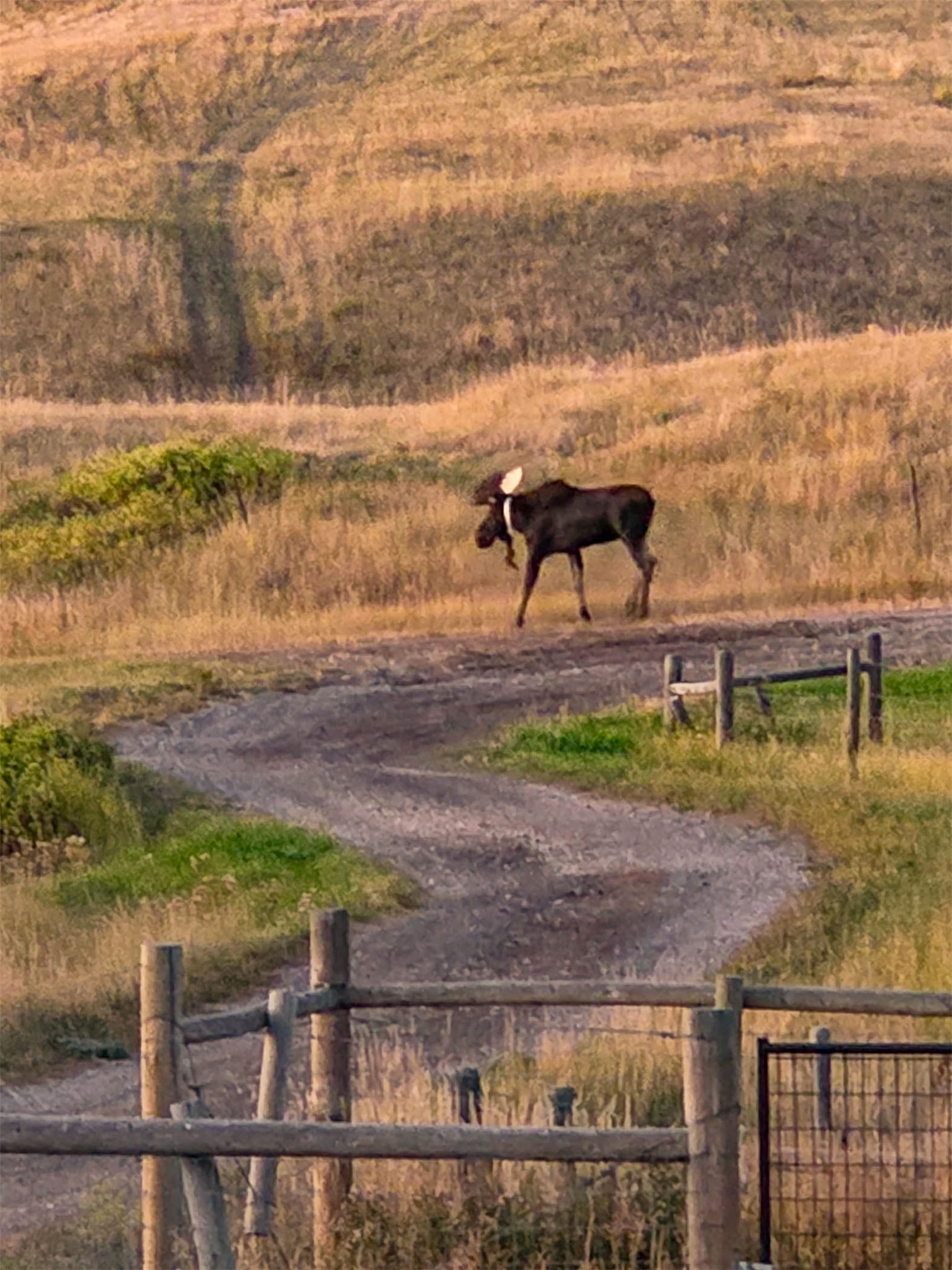 1485 E Highwood Road