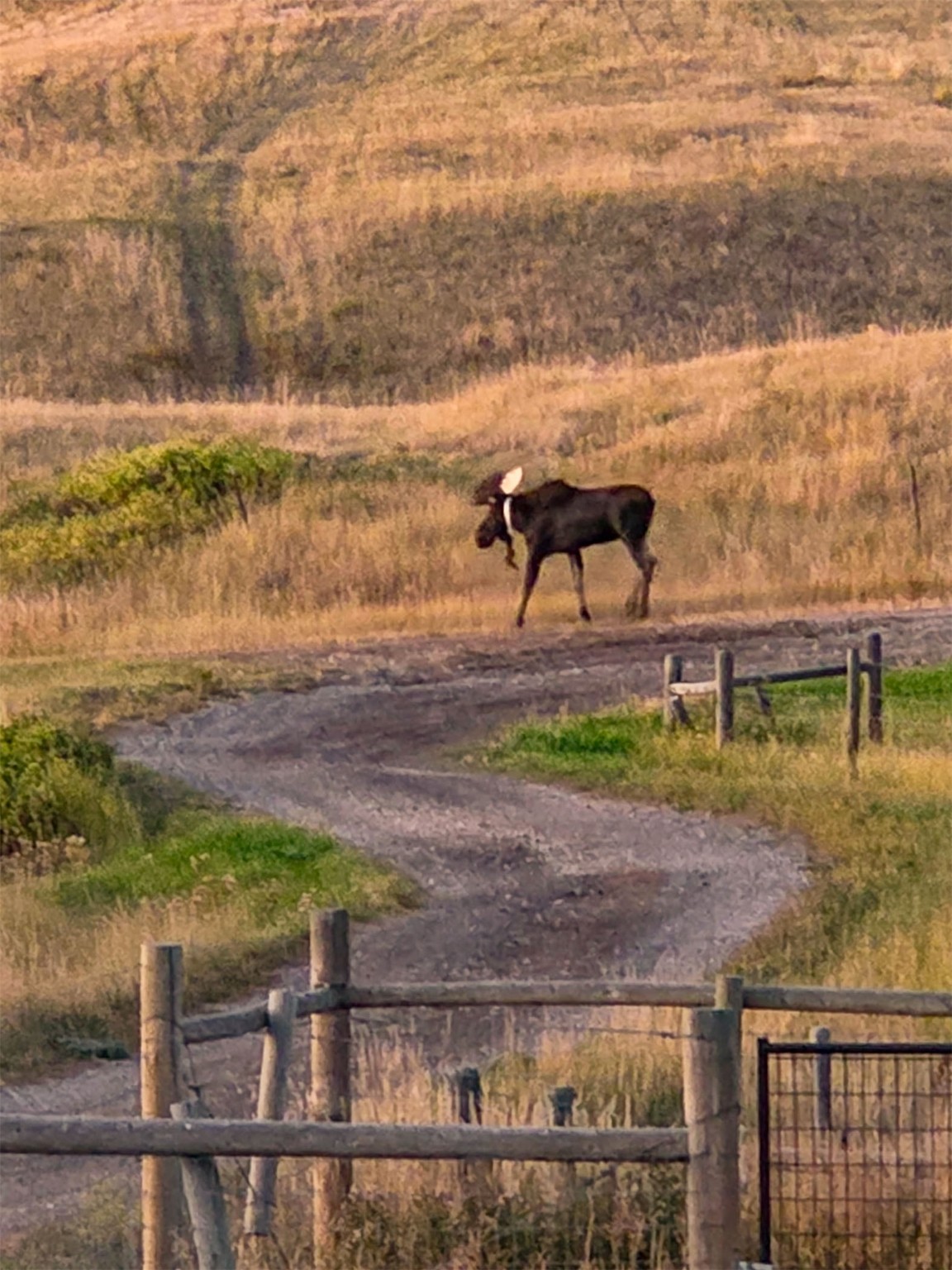 1485 E Highwood Road