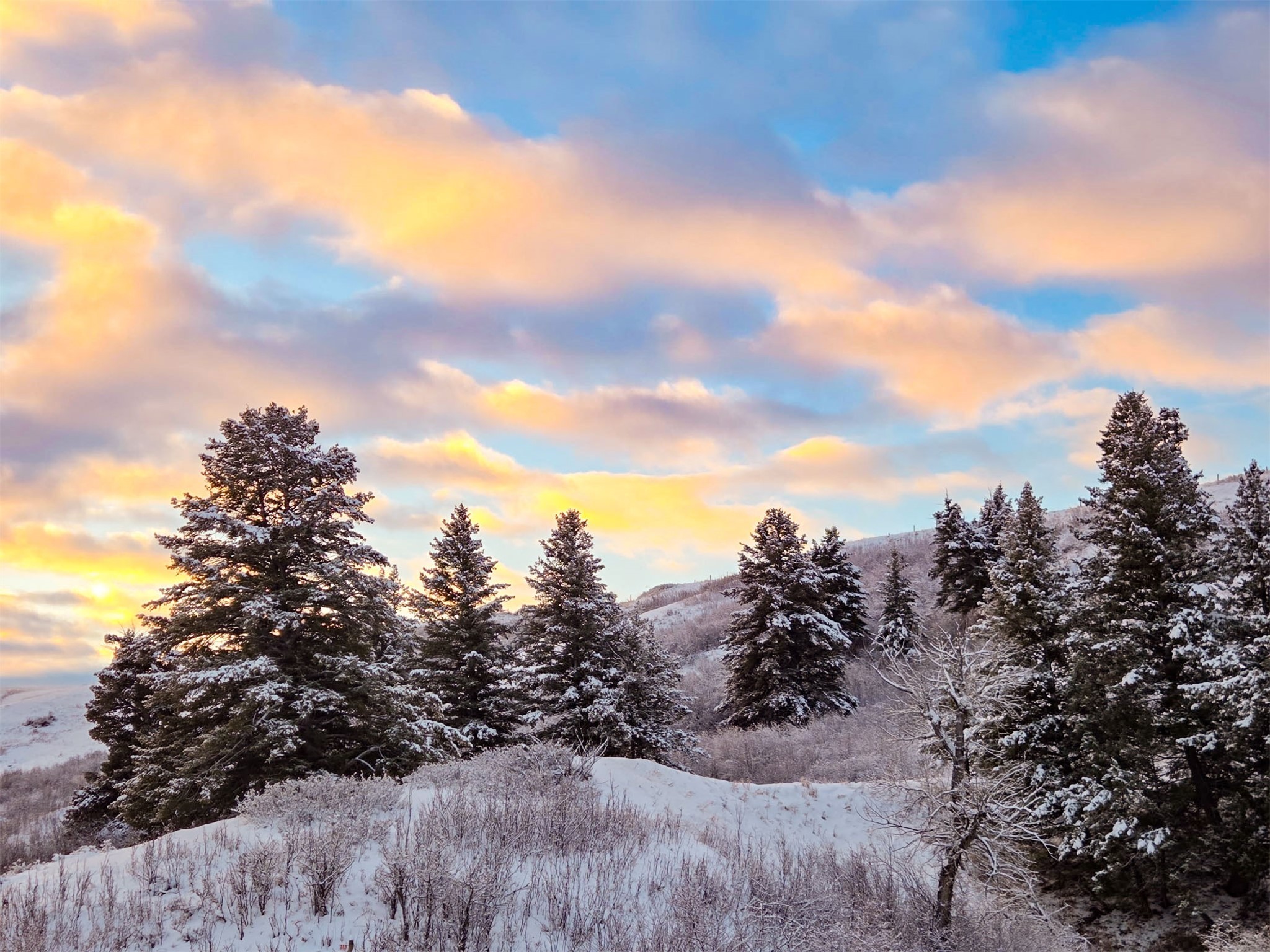 1485 E Highwood Road