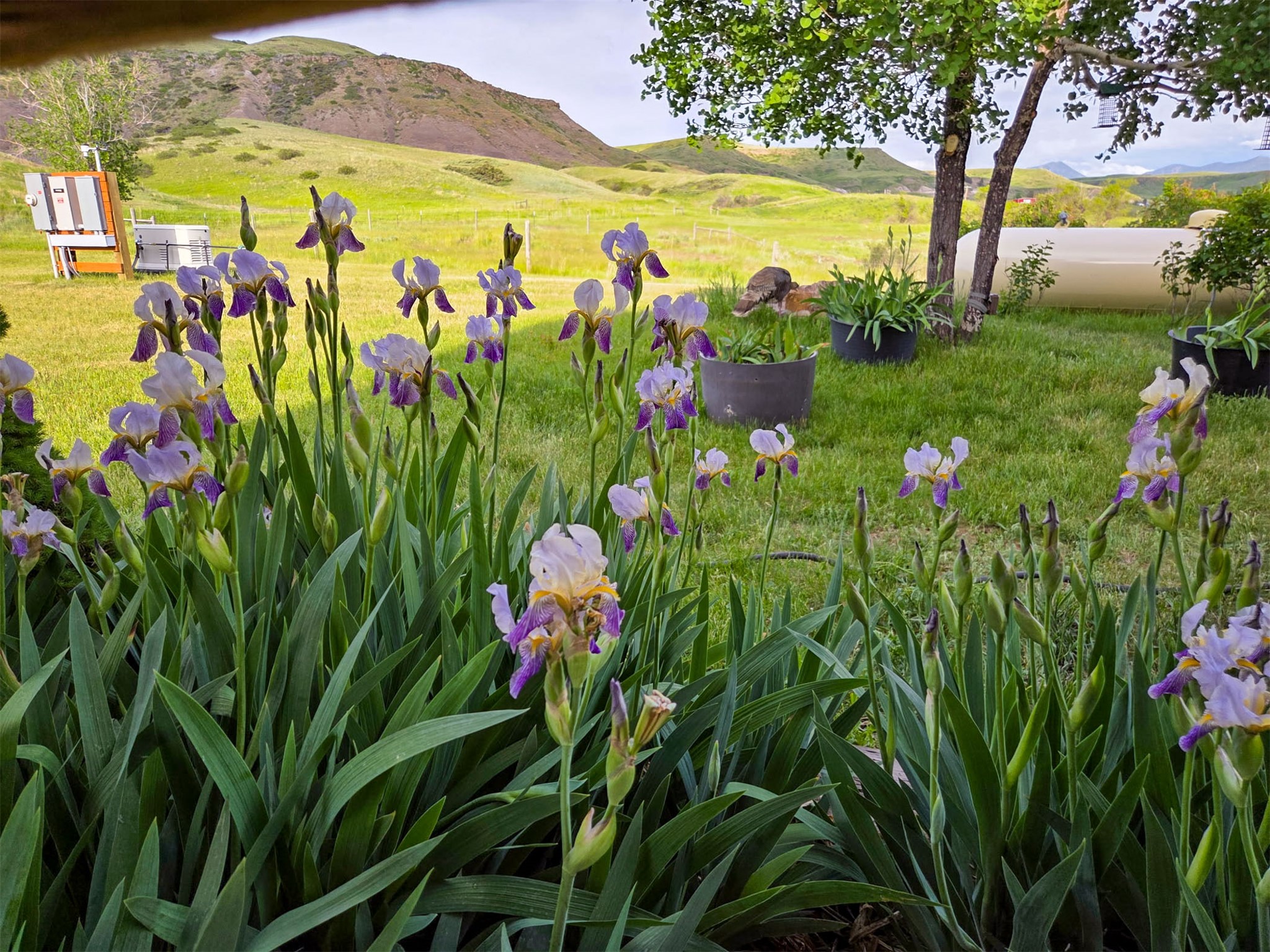 1485 E Highwood Road