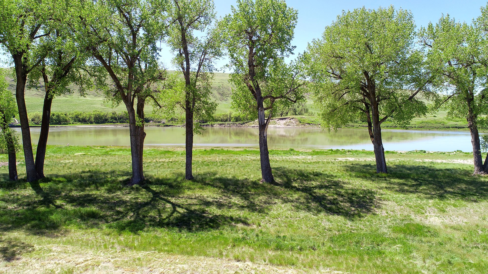 84 Tumbleweed Lane