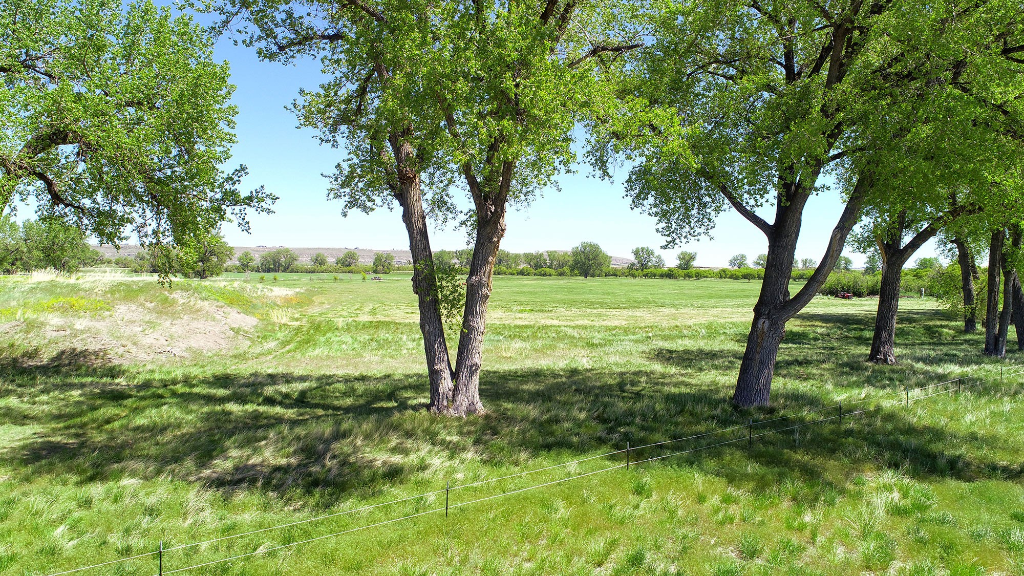84 Tumbleweed Lane