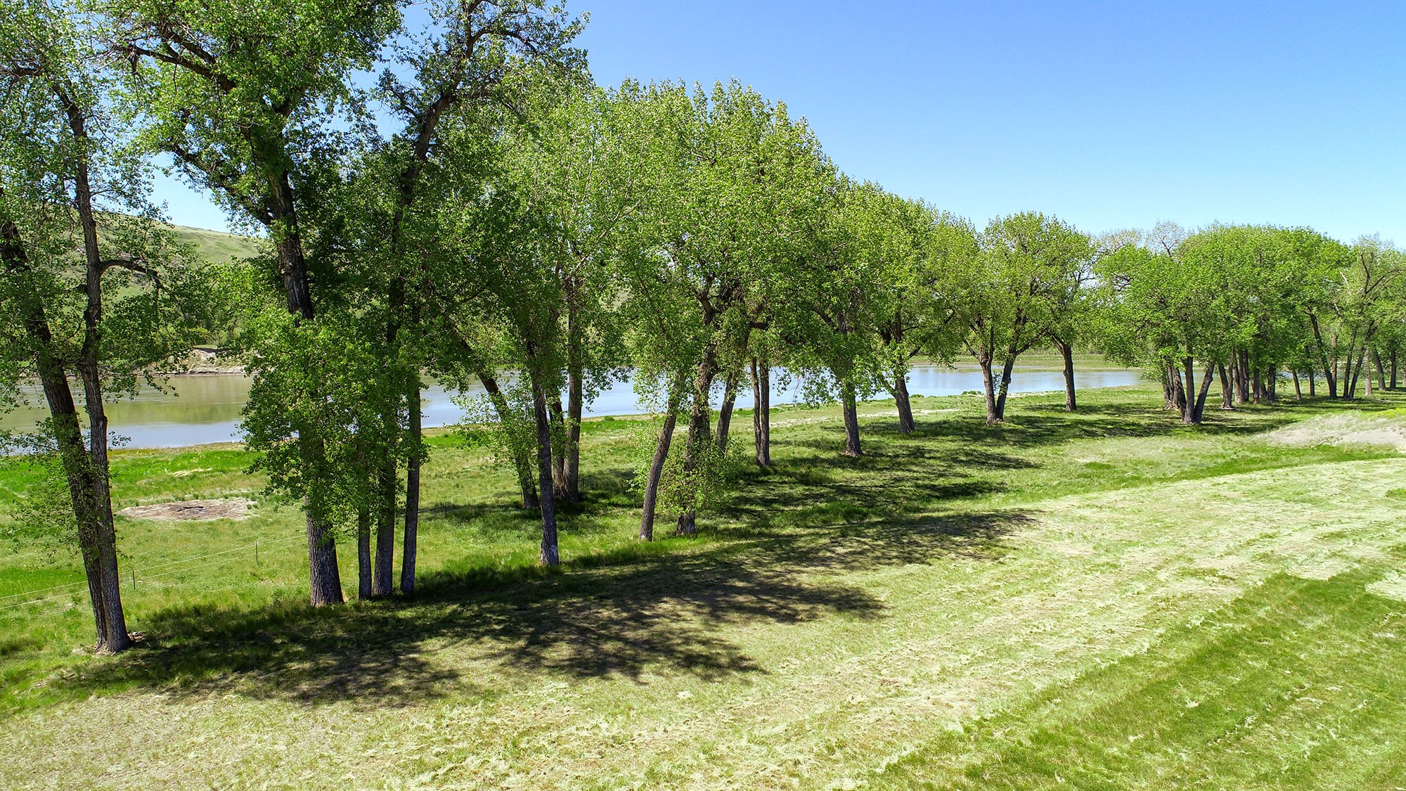 84 Tumbleweed Lane