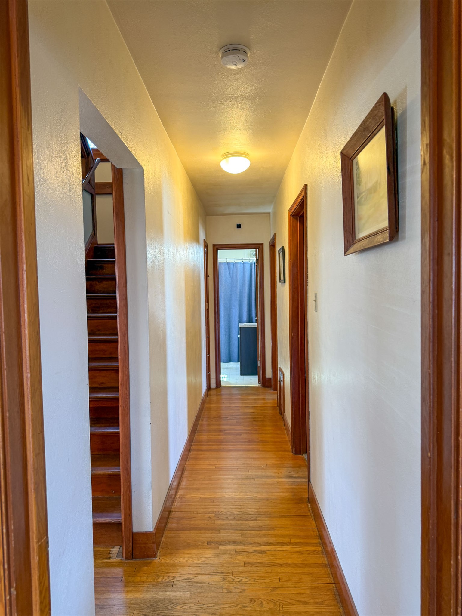217 8th Avenue N