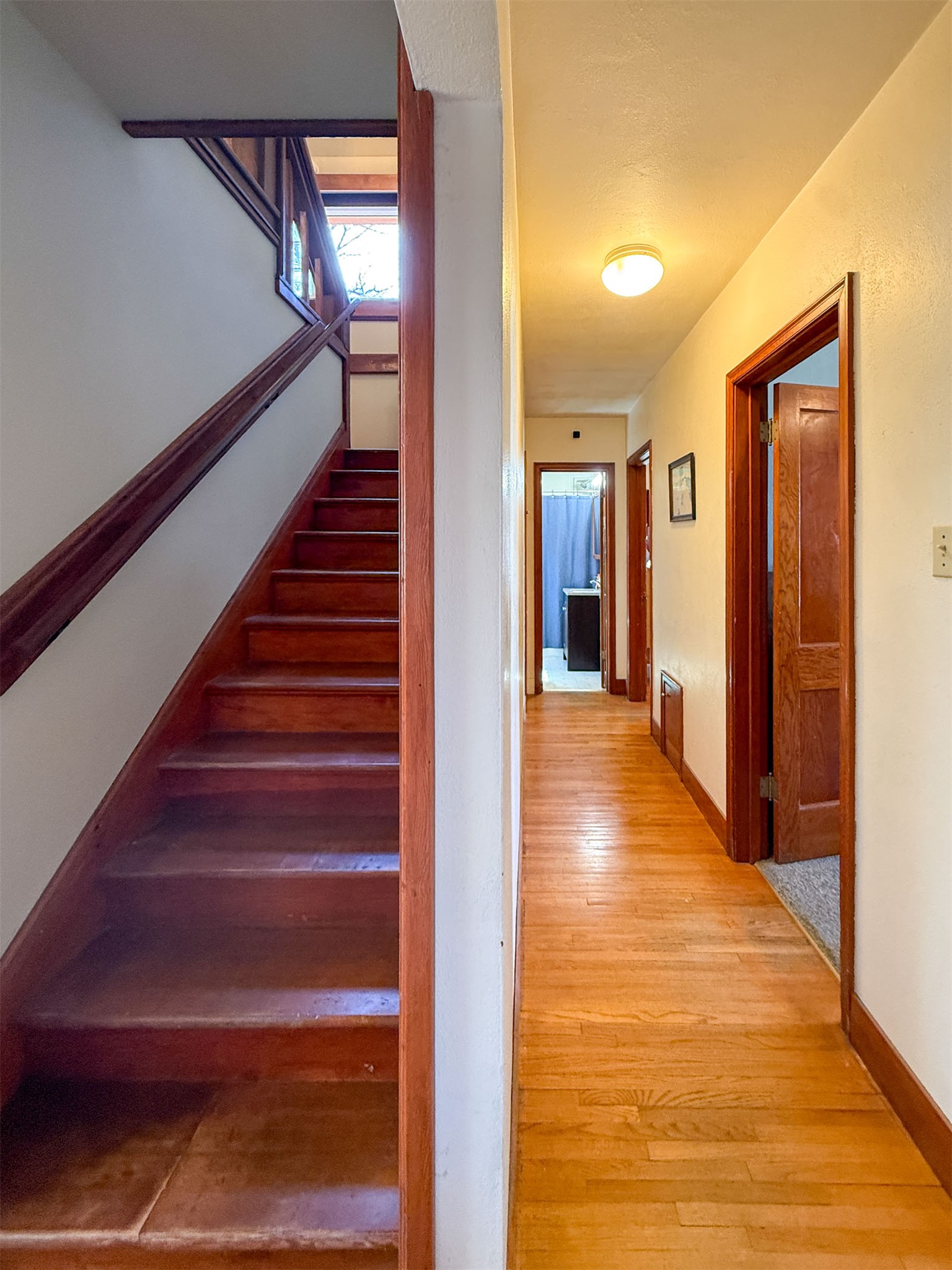 217 8th Avenue N