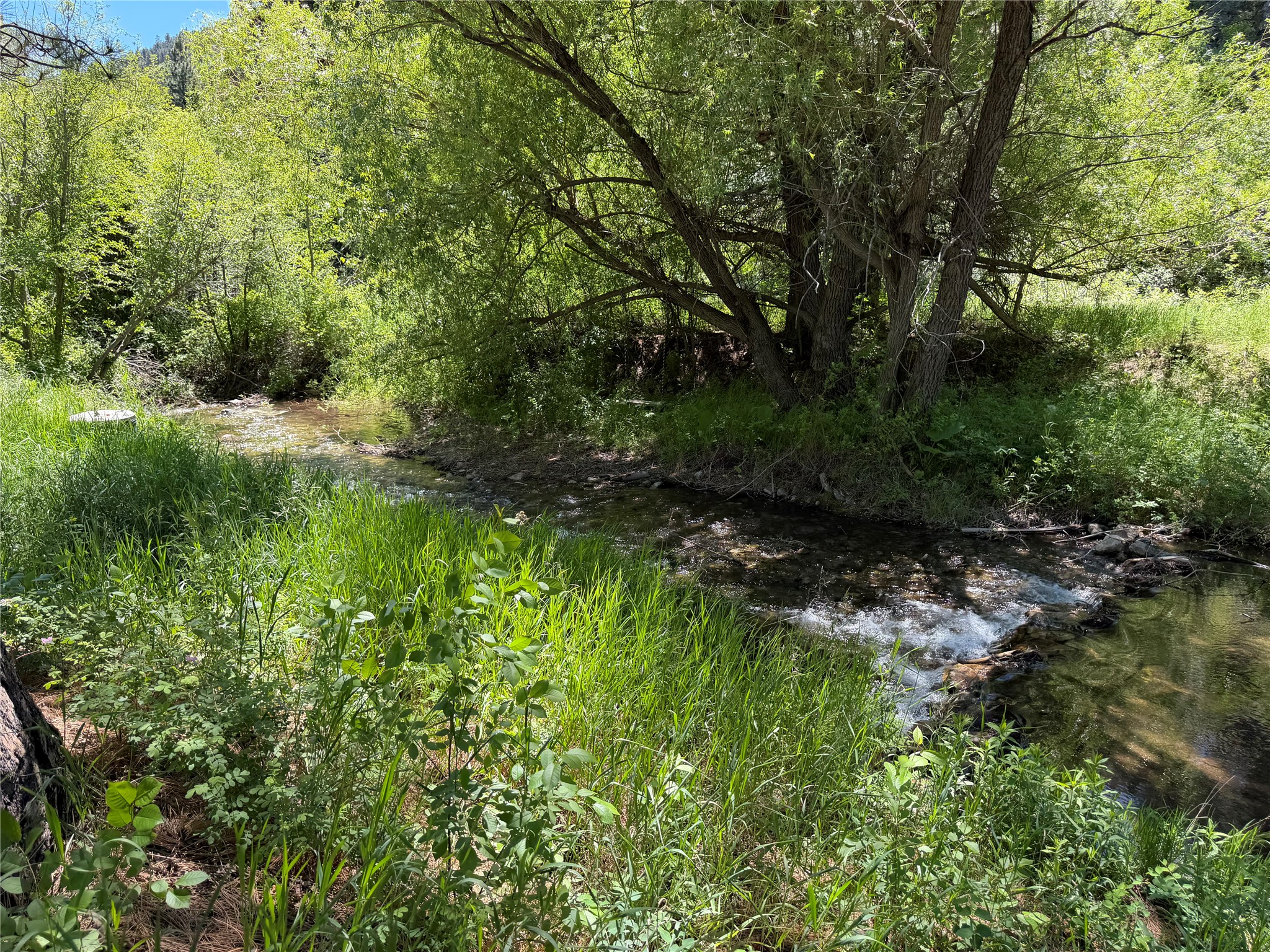 2623 Little Wolf Creek Road