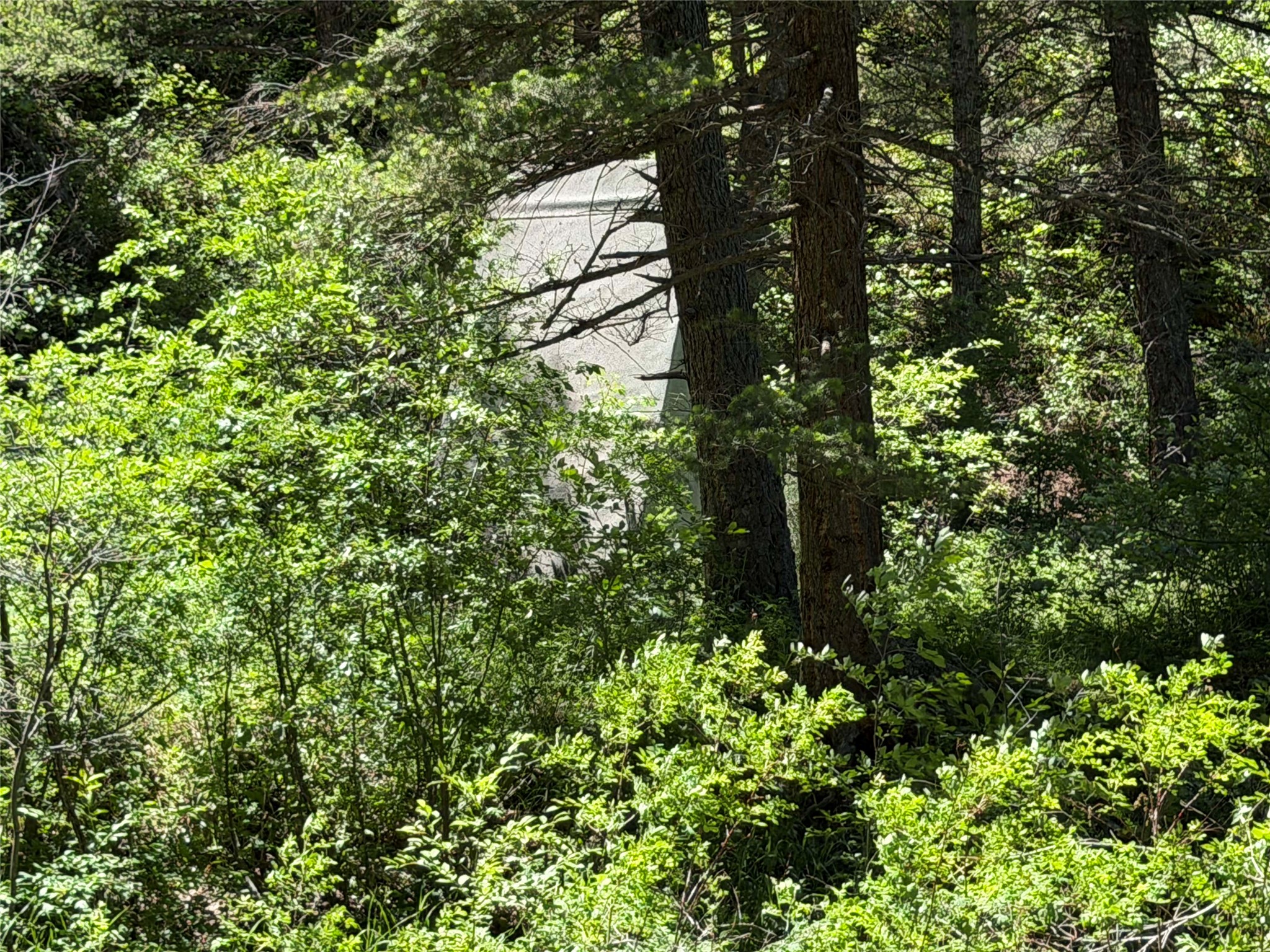 2623 Little Wolf Creek Road