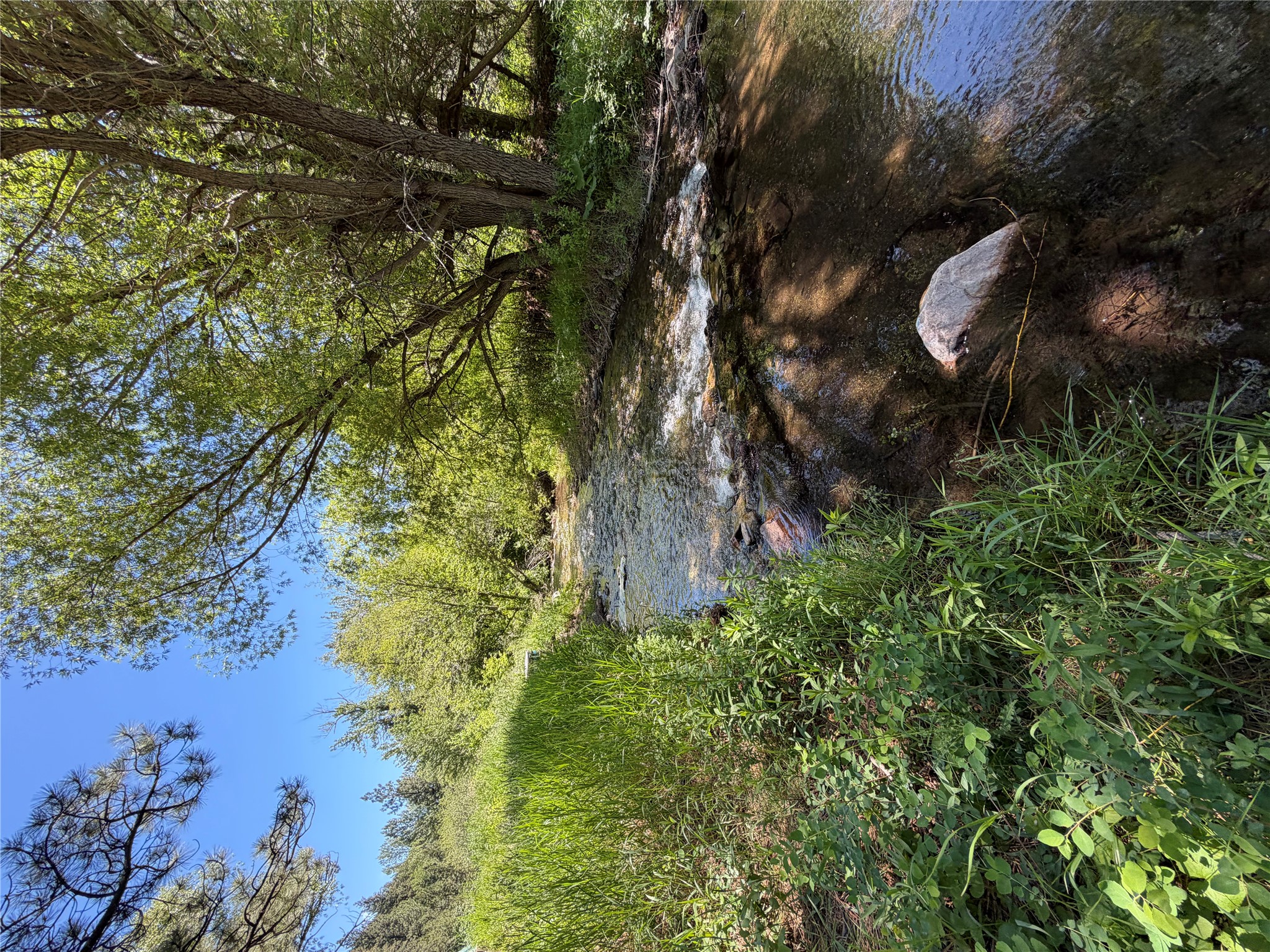 2623 Little Wolf Creek Road