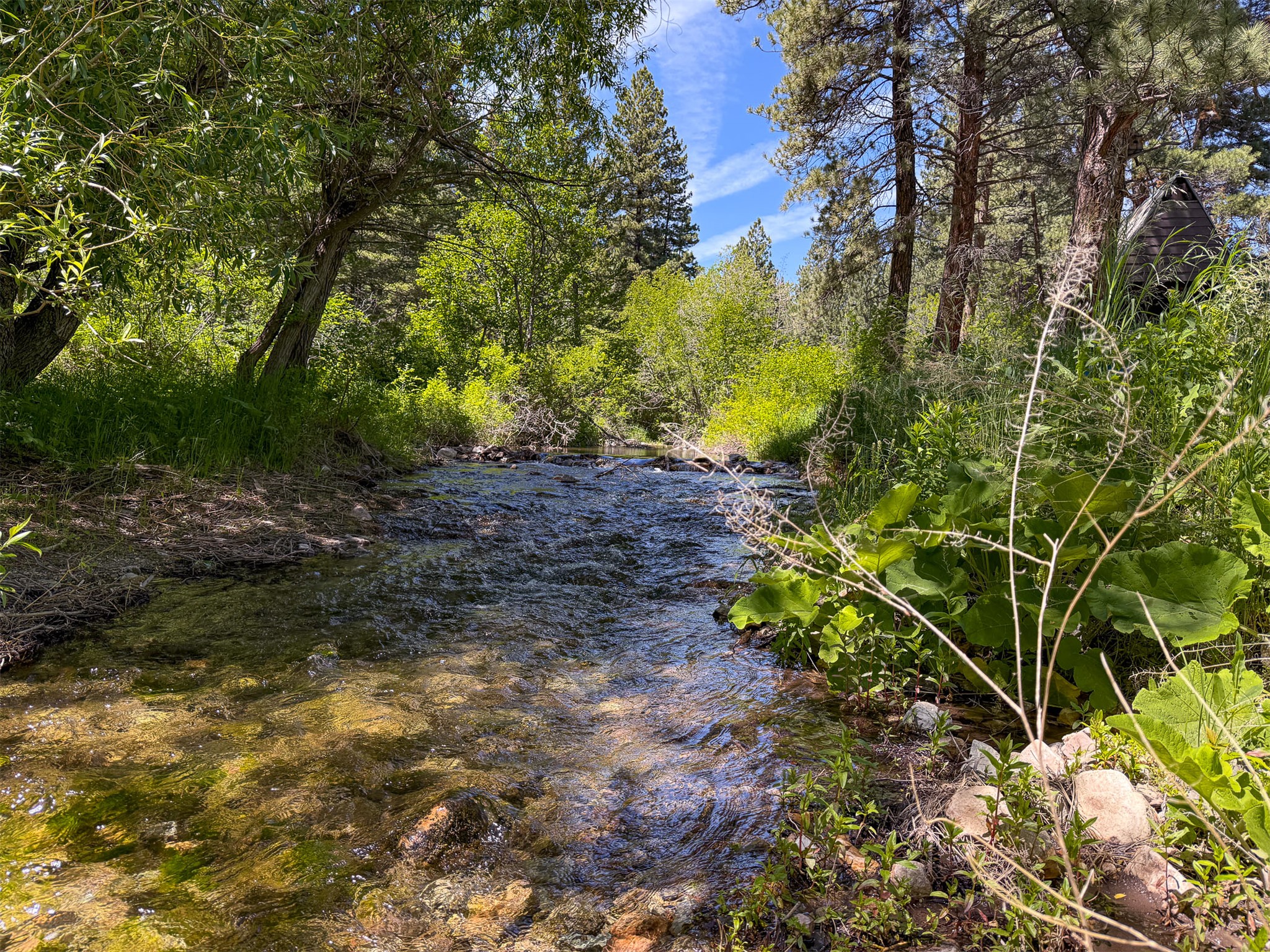 2623 Little Wolf Creek Road