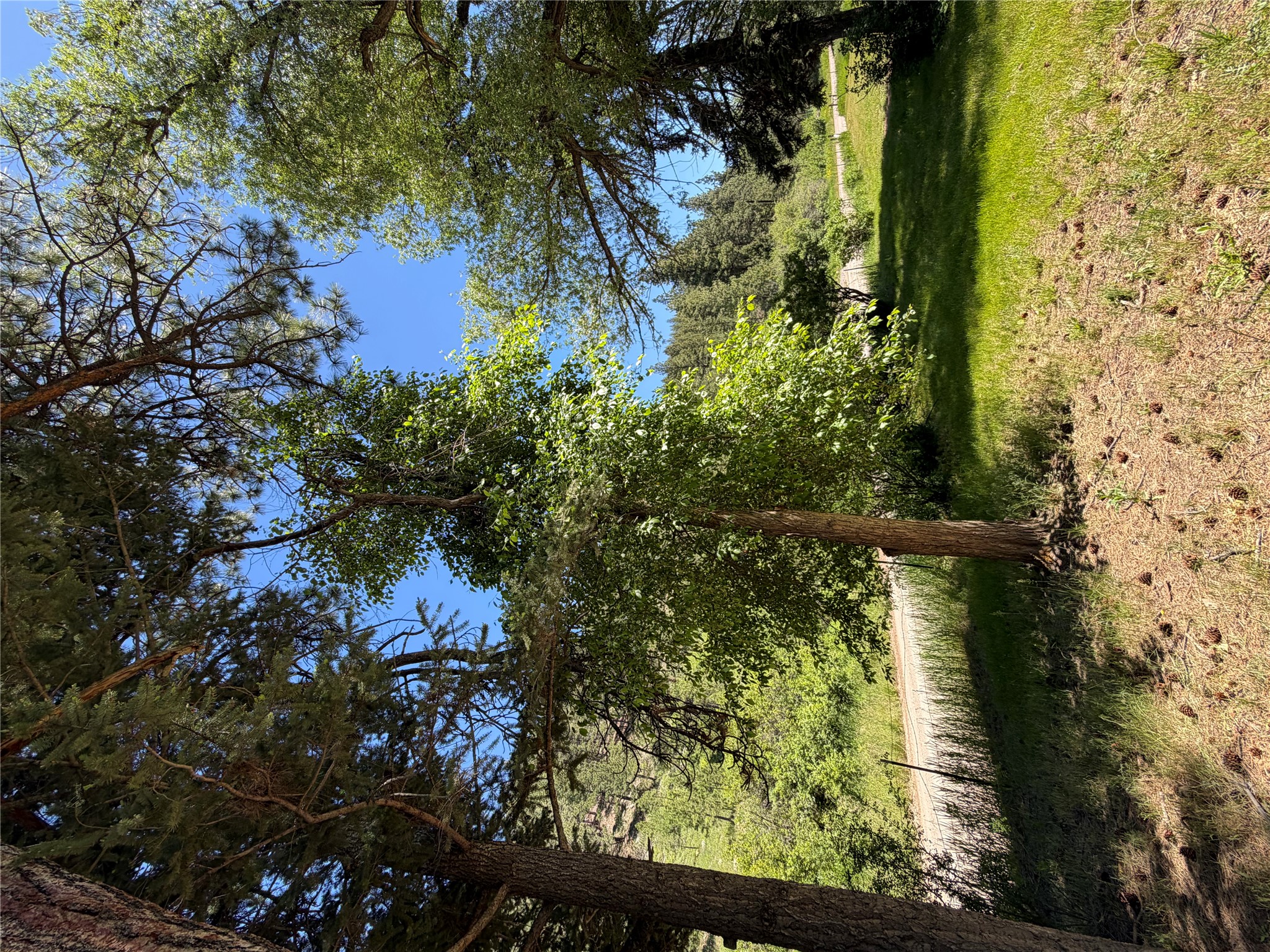 2623 Little Wolf Creek Road