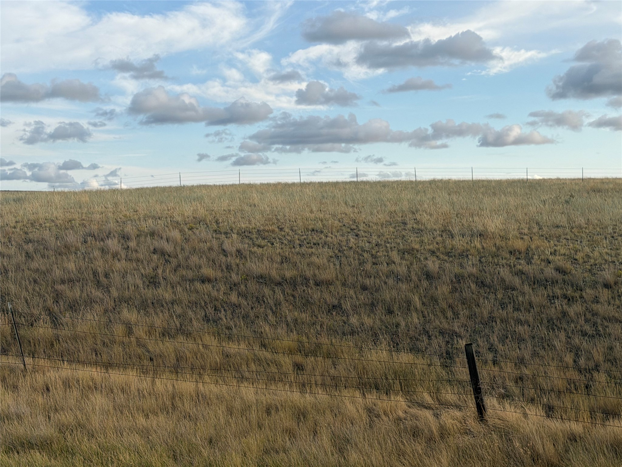 TBD McIver Road