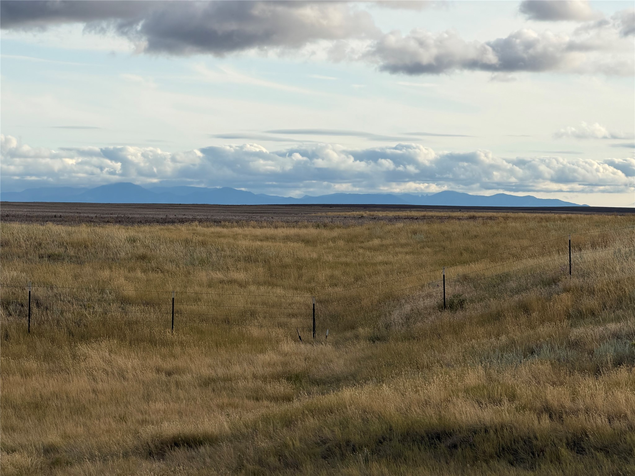 TBD McIver Road