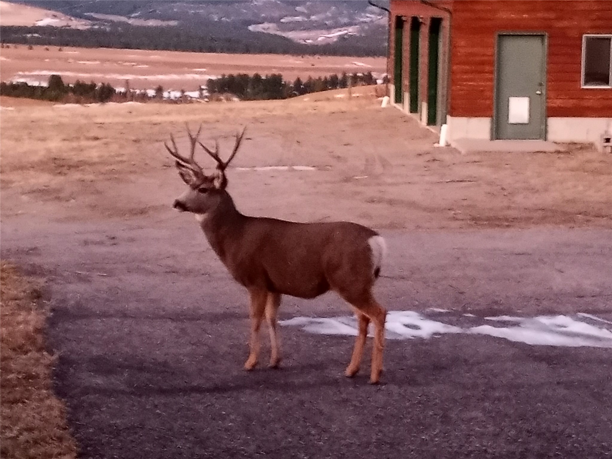 5833 Us Highway 89