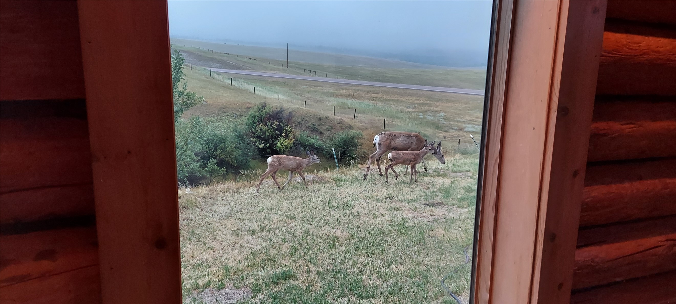 5833 Us Highway 89