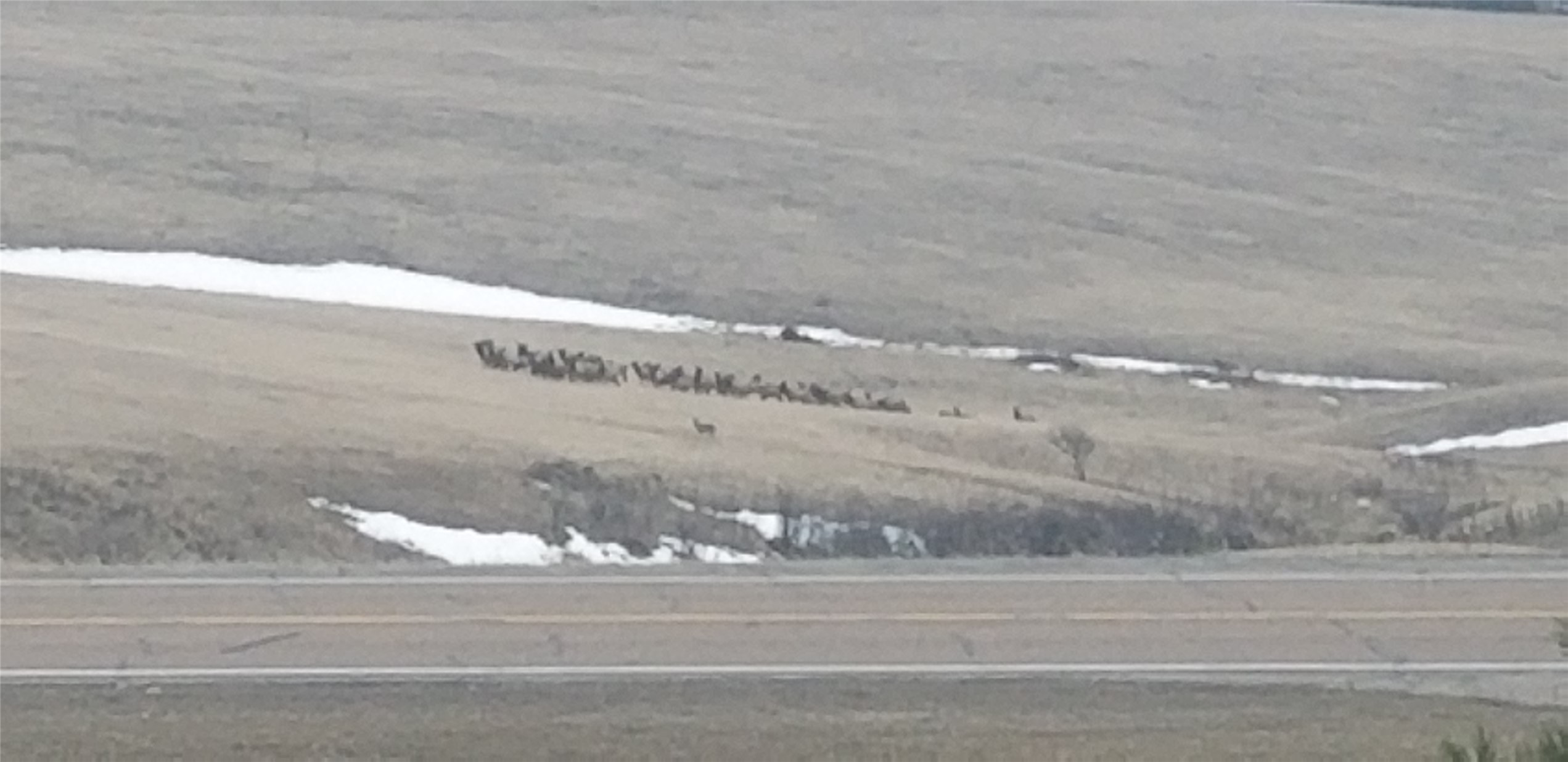 5833 Us Highway 89