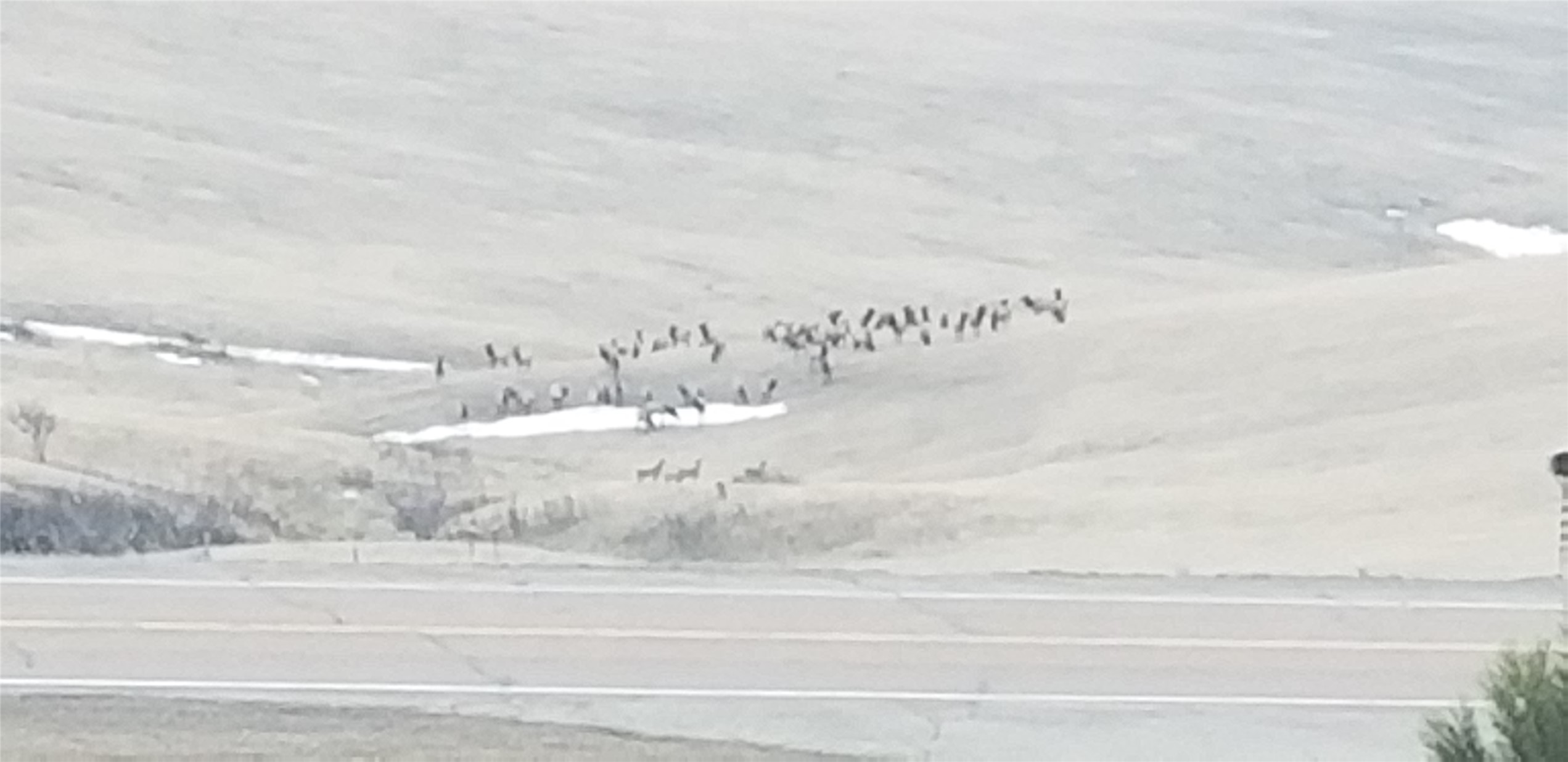 5833 Us Highway 89