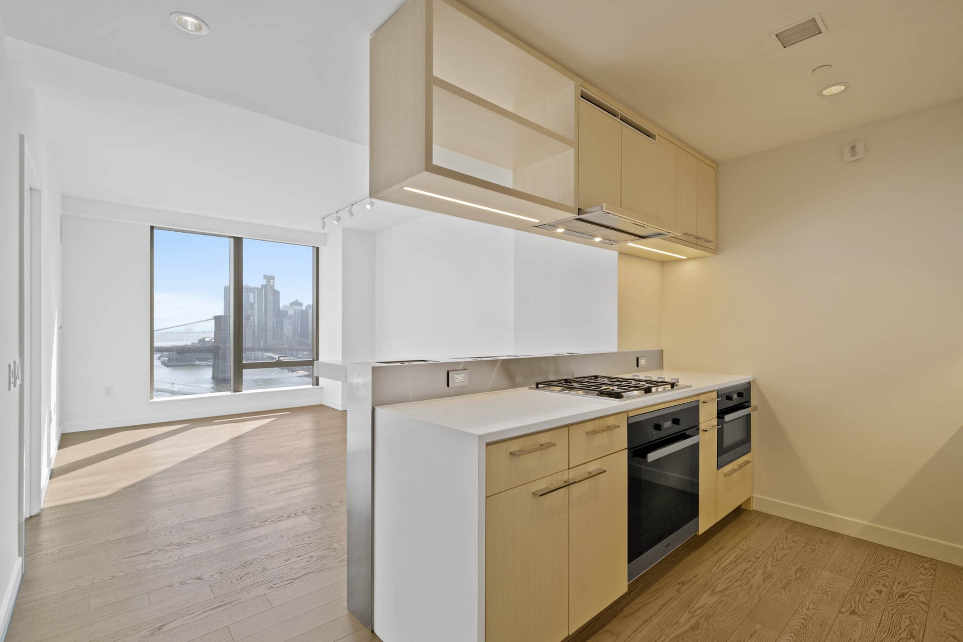 252 South Street 22-C
