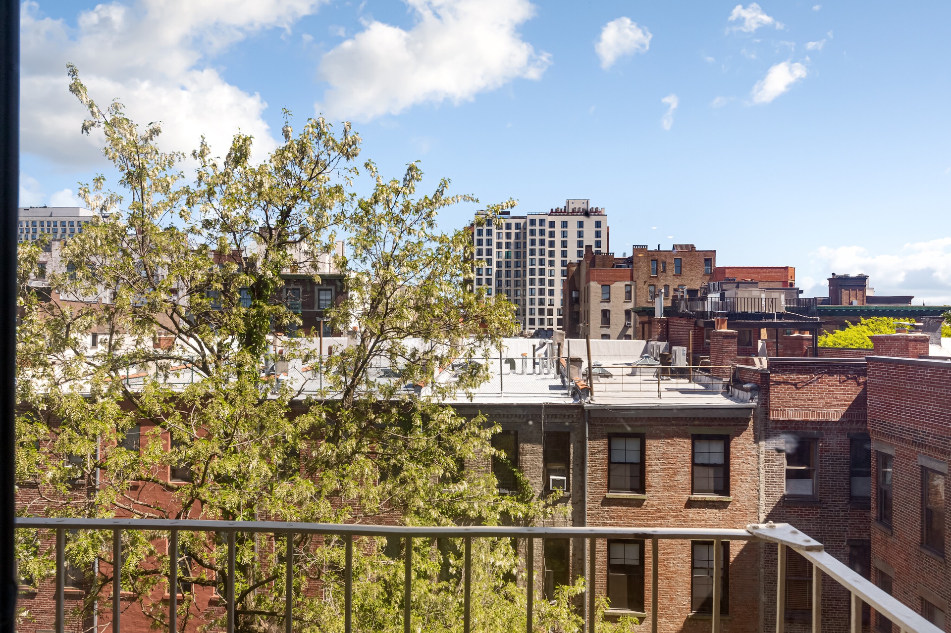 3 W 122nd Street 5-C