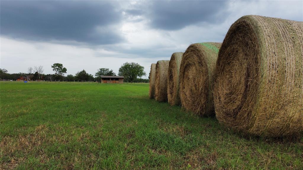 826 Wild Flower (Tract 4B) Way