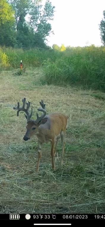 11205 S County Line Road